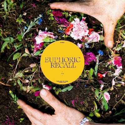 Euphoric Recall - Braids LP