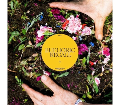 Euphoric Recall - Braids LP