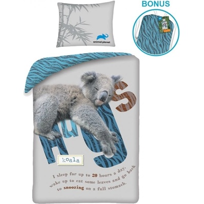 Halantex bavlna obliečky Animal Planet motív Koala 100% bavlna 70x90 140x200