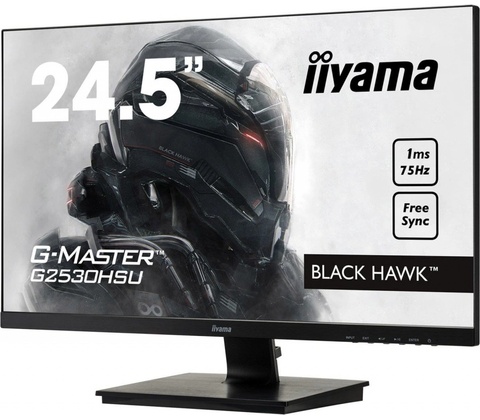 iiyama G2530HSU