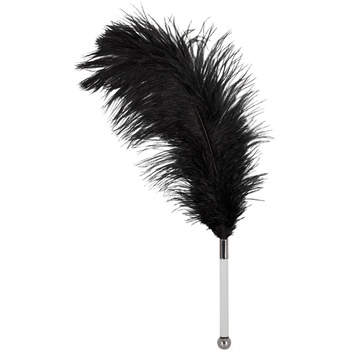 ostatní Гъделичка от щраусови пера