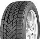 Mastersteel Winter + 215/55 R17 98H