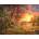 SunsOut - Puzzle A Place to Call Home - 1 000 piese