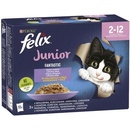 Krmivo pro kočky Felix Junior Fantastic lahodný výběr v želé 12 x 85 g