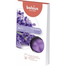 Bolsius Aromatic 2.0 True Sents Vosk Lavender 6 ks