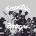 Various - Eccentric Boogie CLR LP