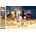 Norimpex - Puzzle Diamant painting: Frightened herd 30x40cm - 1 - 39 piese