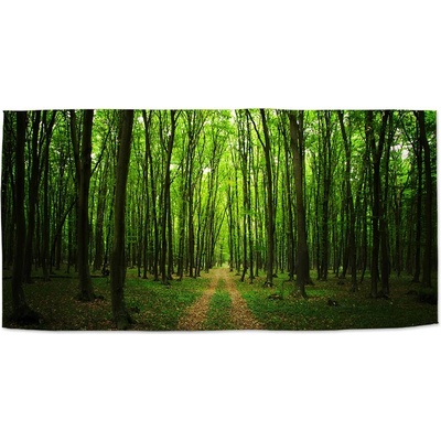 Sablio Uterák Cesta v lese 30 x 50 cm