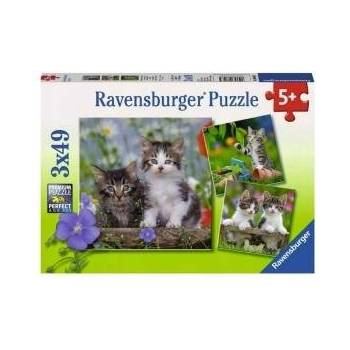 Ravensburger Tabby kittens puzzle 3x49pcs