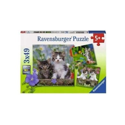 Ravensburger Tabby kittens puzzle 3x49pcs