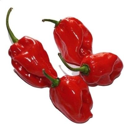 ? ️ Семена от люти чушки Habanero Red F1 - 10 броя (207751)