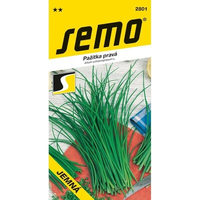 Pažitka pravá Jemná Semo