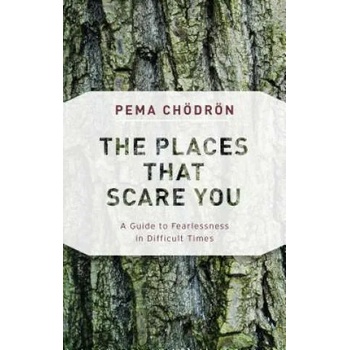 The Places That Scare You: A Guide to Fearlessness in Difficult Times