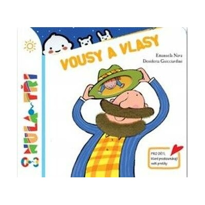 Vousy a vlasy