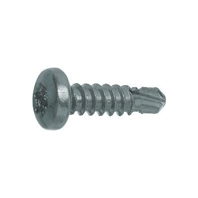 DIN7504N 5.5x 25 Torx 25 pozink čočková hlava vrut s vrtací špičkou (500 ks)