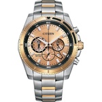 Citizen AN8204-59X Часовници