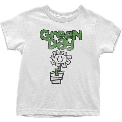 Green Day Flower Pot White