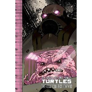 Teenage Mutant Ninja Turtles: The IDW Collection Volume 10 (ISBN: 9798887244624)