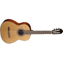 Cort AC120CE