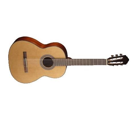 Cort AC120CE