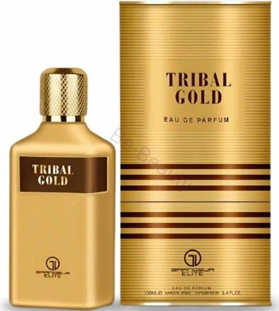 Grandeur Tribal Gold parfémovaná voda pánská 100 ml od 388 Kč