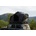Intrepid GEO 2.5 Pro