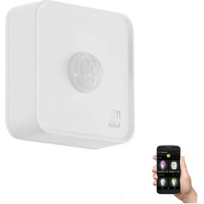 EGLO CONNECT EG33236