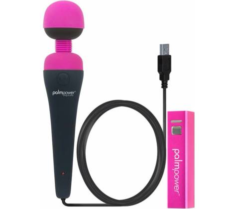 PalmPower Plug & Play Wand Massager