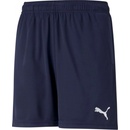 Puma Liga Training shorts jr modrá
