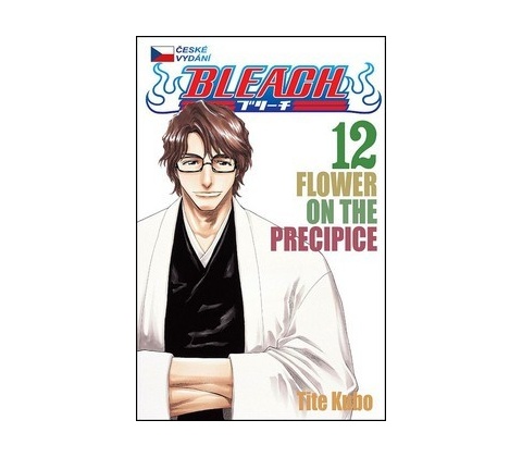 Bleach 12