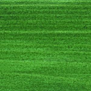 Saicos Wood Stain - Екстериорно защитно покритие 0060, Fir Green (4771)