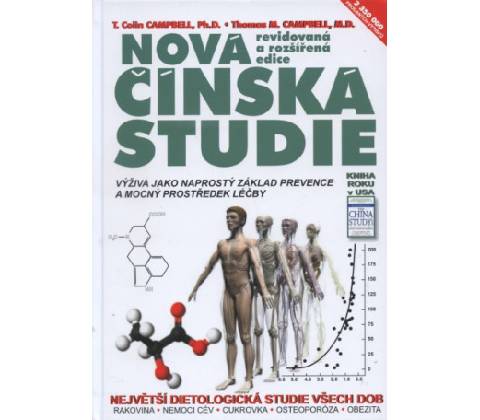 Čínská studie