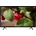 Thomson 32HD3301
