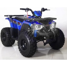 Tao Hunter 125ccm 8"