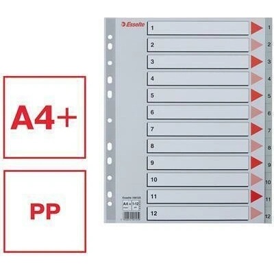 Farebné registre, šedá, A4 Maxi, plast, 1-12, ESSELTE