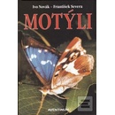 Motýli
