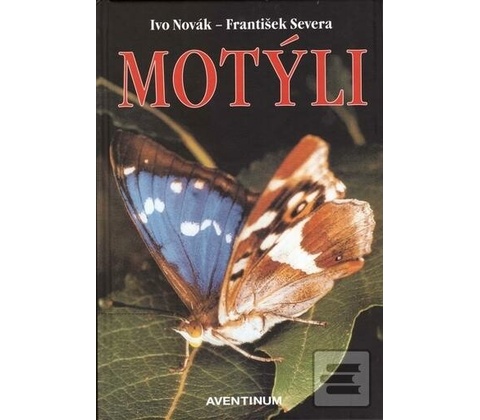 Motýli