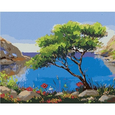zuty Malování Podle Čísel Mořská Krajina 40 x 50 Cm Plátno Rám