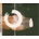 Last Light Eardrum CD