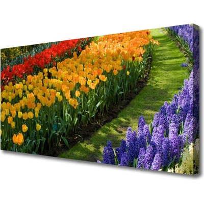 Obraz Canvas Kvety záhrada tulipány 100x50 cm