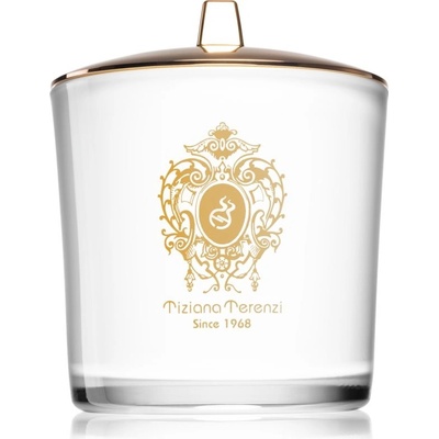 Tiziana Terenzi White Fire 500 g