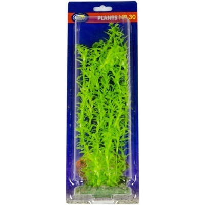 Aqua Nova Egeria 30 cm