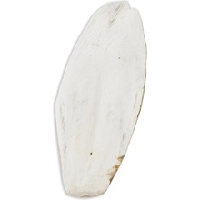 Akinu Sépiová kost Volně 25-30 cm 1 kg