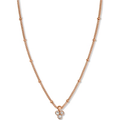 ROSEFIELD jtntrg-j443 (jtntrg-j443)