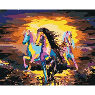 zuty Malování podle čísel Barevné stádo koní 40 x 50 cm bez rámu a bez vypnutí plátna