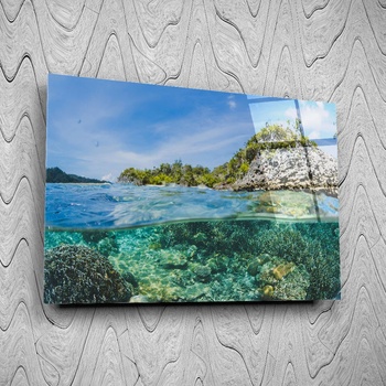 Art gift Стъклено АРТ пано - Подводен риф