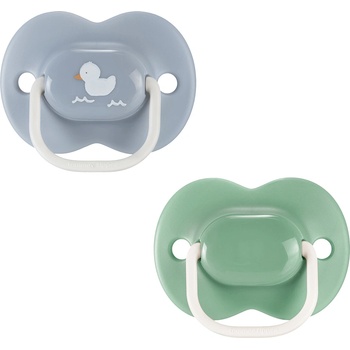 Tommee Tippee Ортодонтични залъгалки Tommee Tippee - AnyTime, Зелена и Синя с декор Пате, с кутия за стерилизиране, 18-36 m, 2 броя (TT.0284)