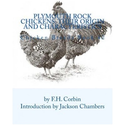 Plymouth Rock Chickens: Their Origin and Characteristics: Chicken Breeds Book 42
