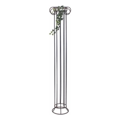 Divoký břečťan trs střední, 70 cm