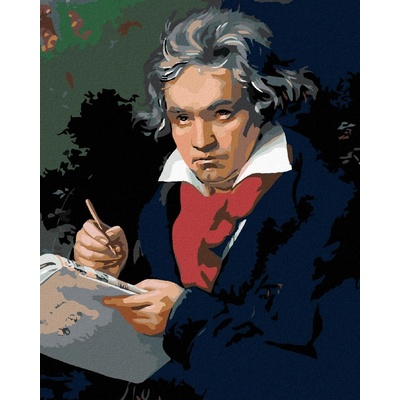 Zuty Ludwig van Beethoven 40 x 50 cm vypnuté plátno na rám 8596530046097